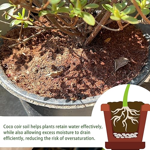 Miniatura 5 de Ladrillo de coco para suelo de coco orgánico - Paquete de 2 con bajo equilibrio de EC y pH - Fibra de alta expansión para hierbas y flores - Medio