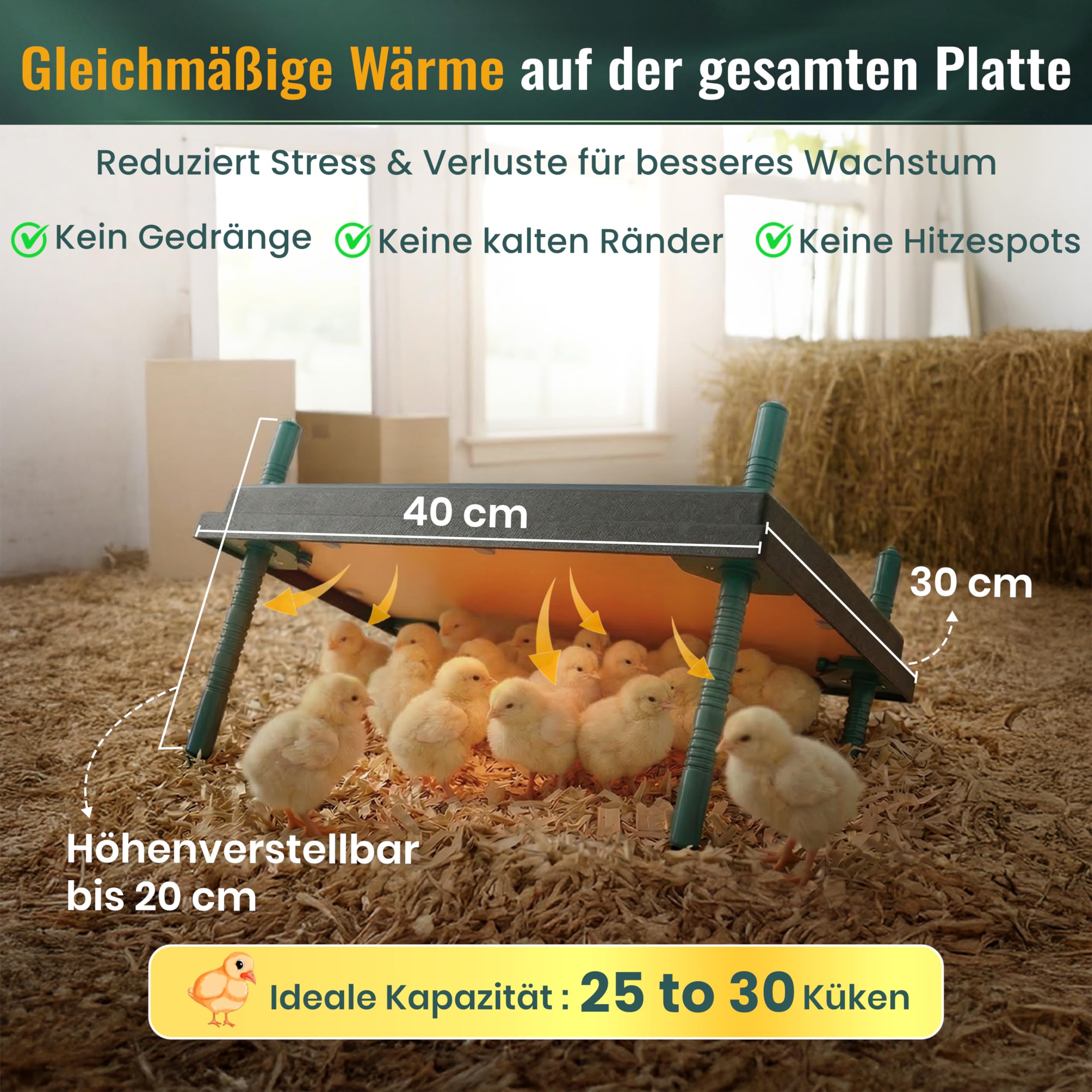 Dural's Küken-Wärmeplatte (30x40 cm) | Bis zu 30 Küken | Professionelle Heizplatte für die Aufzucht | Inkl. E-Book