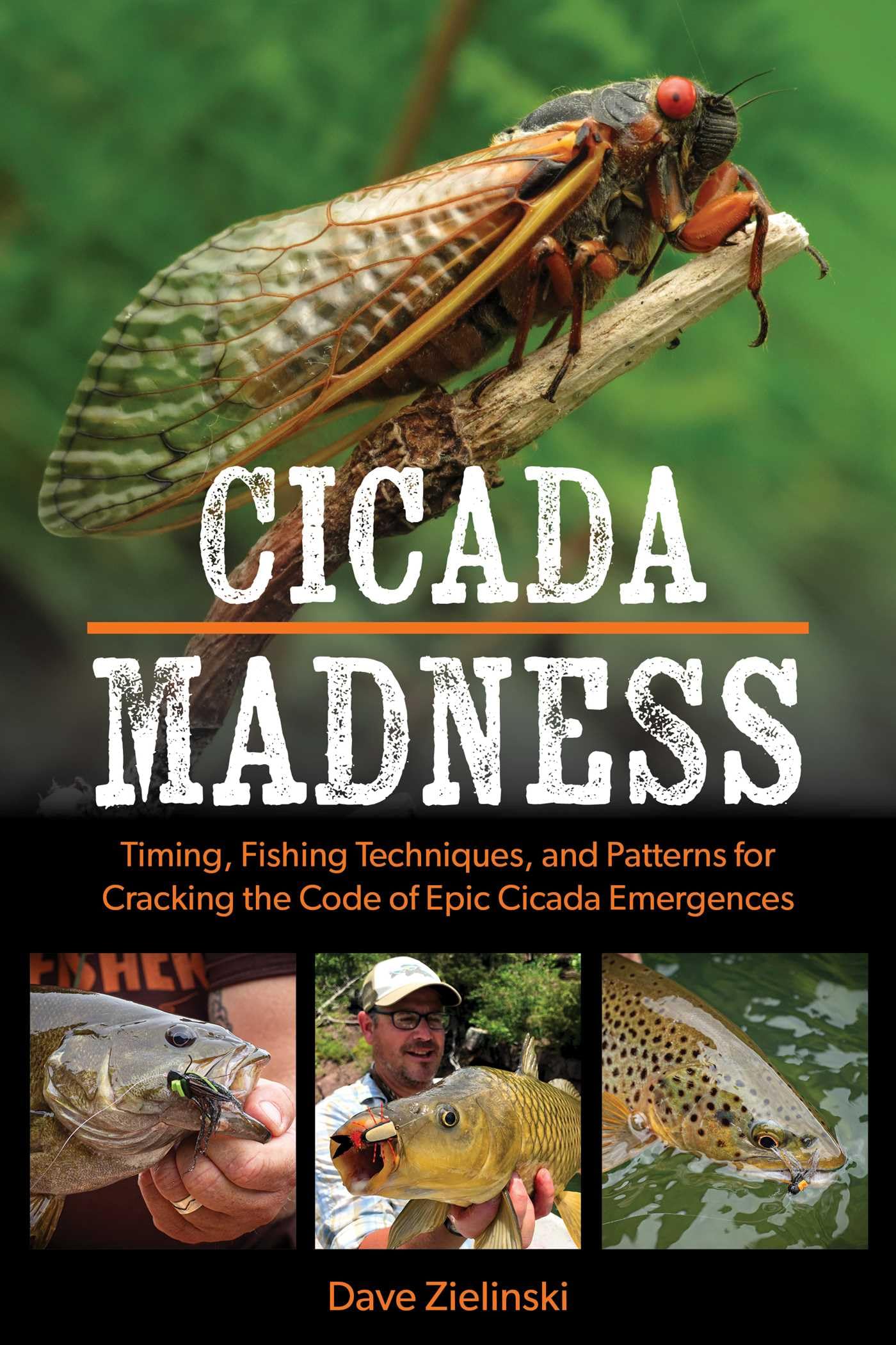 Cicada Madness fishing book by Dave Zielinski