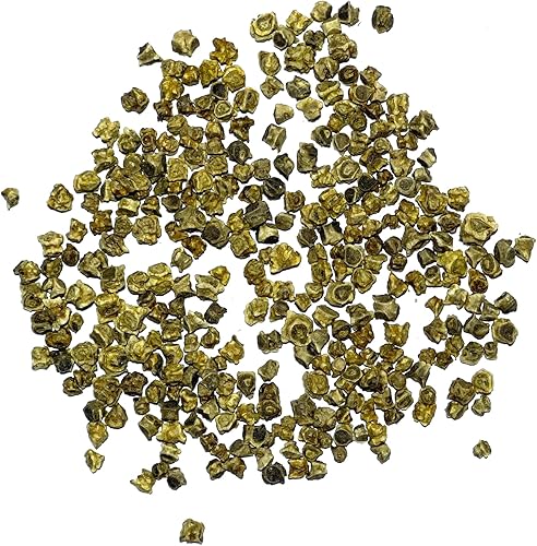 Miniatura 4 de Seed Needs, Golden Detroit Semillas de remolacha  250 semillas tradicionales para plantar beta vulgaris  Cultiva un jardín al aire libre sin OMG y