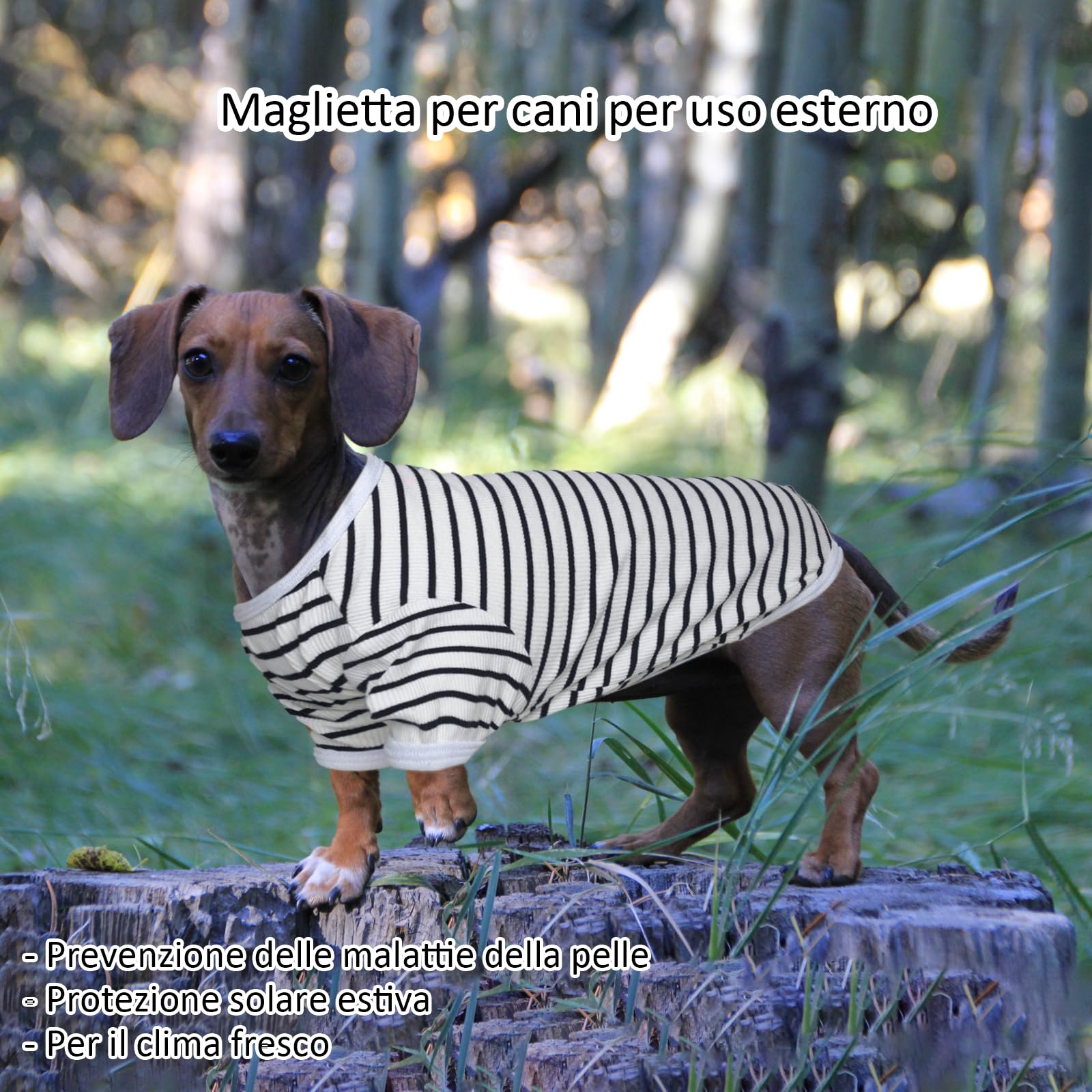 Maglioncino Per Cane A Righe - PetSmiler Taglia Piccola/Media - Cotone E Spandex Per Chihuahua, Bulldog Francese - Foto 6