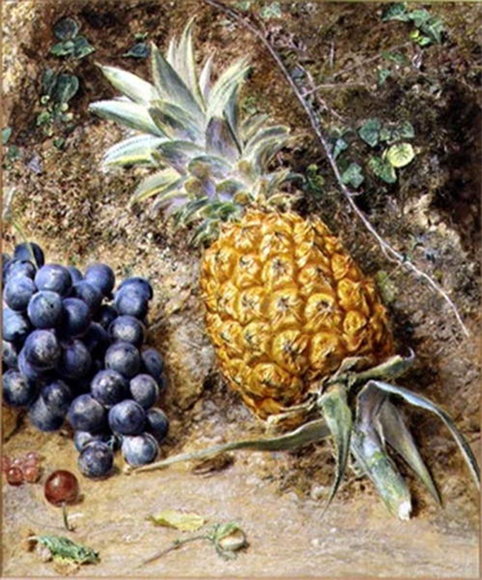 Serendipitp No Frame Aesthetic Poster Photo Wall Print Retro Picture Grapes And A Pinefruit By William Henry Hunt Modern Wall Artwork For Home Decor 60X90cm