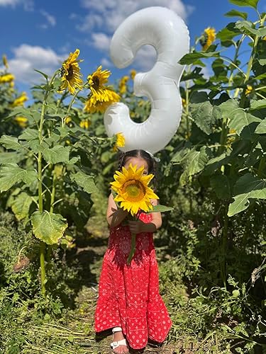 Vista 519 de Globos de números 0 de 40 pulgadas, globos negros de números para números 10, 20, 30, 40, 50, 60, 70, 80, 90, 100, globos de números 10, 20, 30, 40