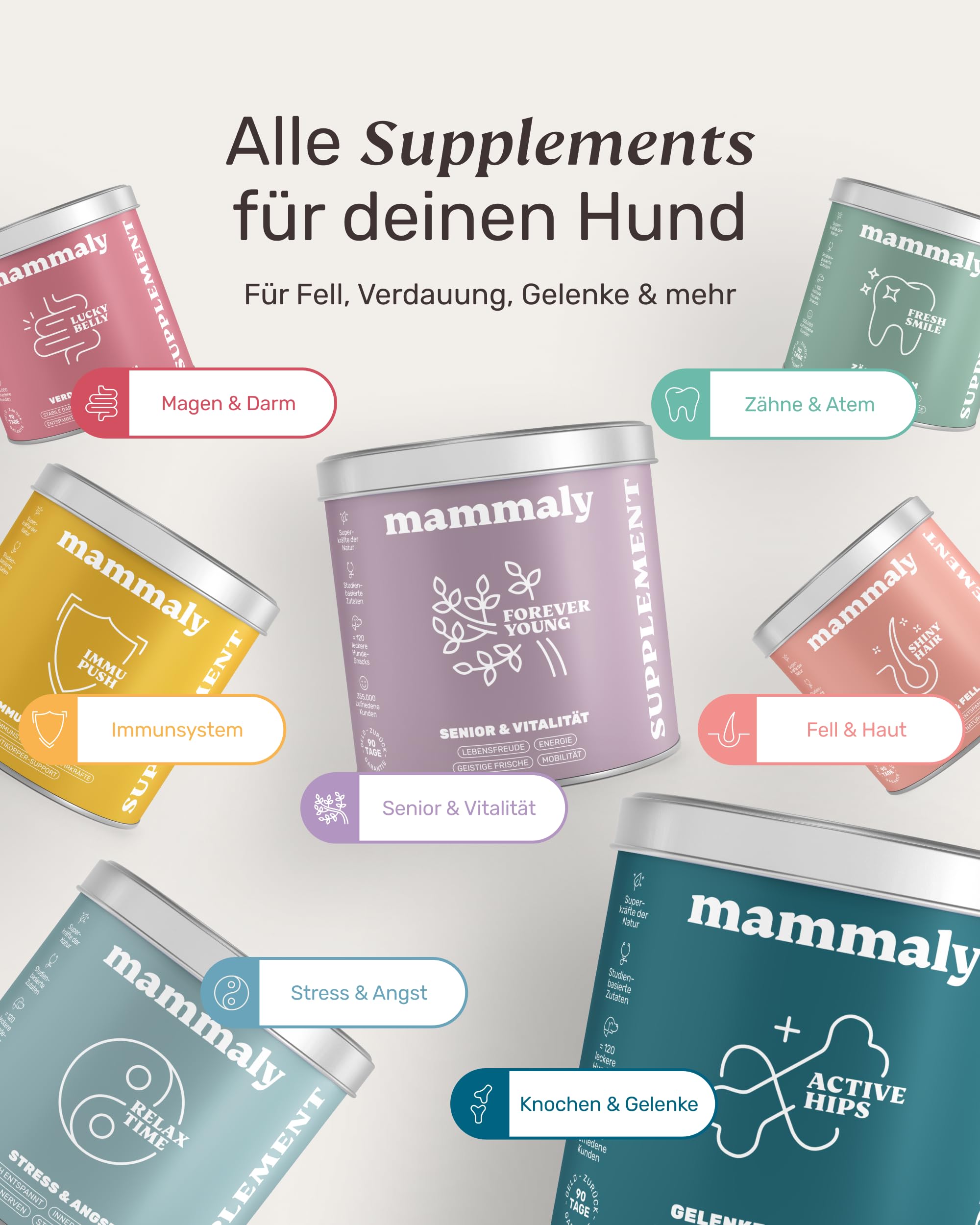 6-in-1 Vital-Komplex für Senior Hunde - Forever Young 120 Snacks (350g) von mammaly - Mit Ginko, Kurkuma, Bierhefe, Kollagen, L-Carnitin & Mikroalgen für den Alten Hund