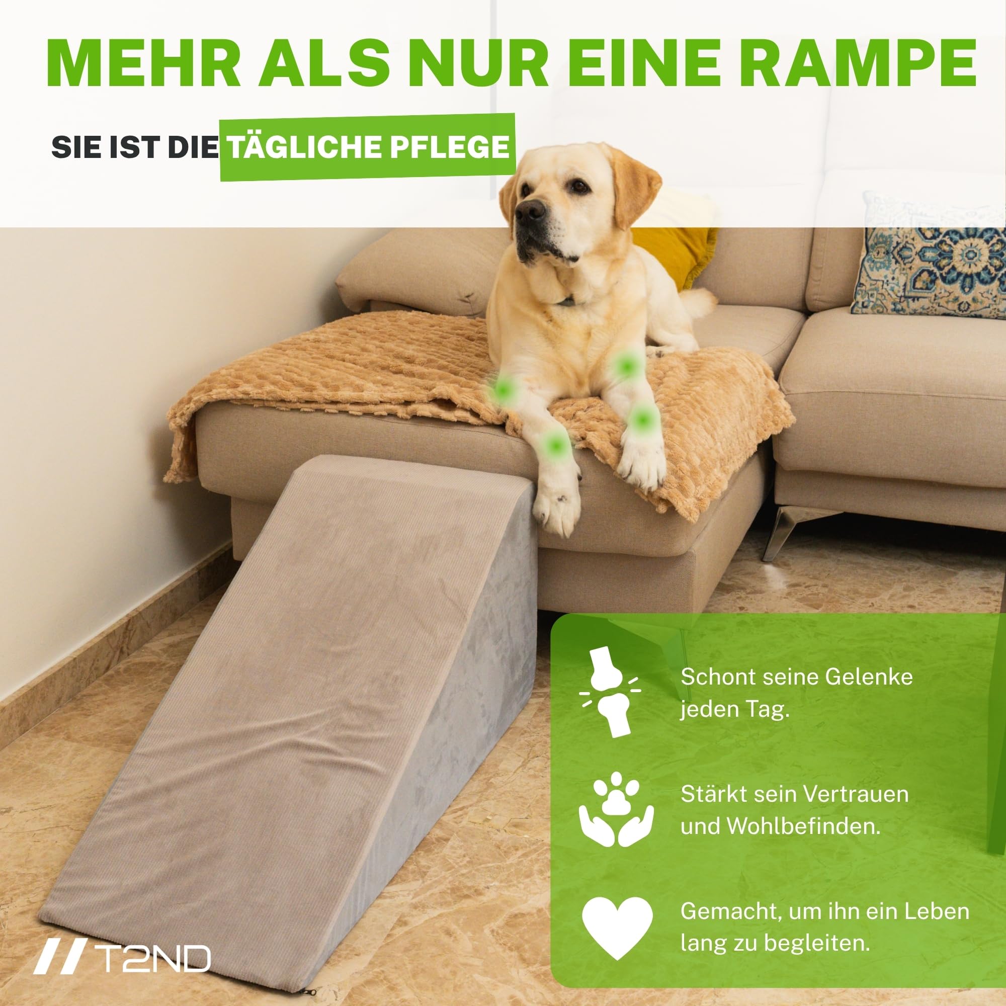 Hunderampe Sofa und Bett – Hundetreppe für kleine und große Hunde – Katzentreppe – Abnehmbarer und waschbarer Bezug – Rutschfester Boden – Rampe Hund – 40 cm Hoch