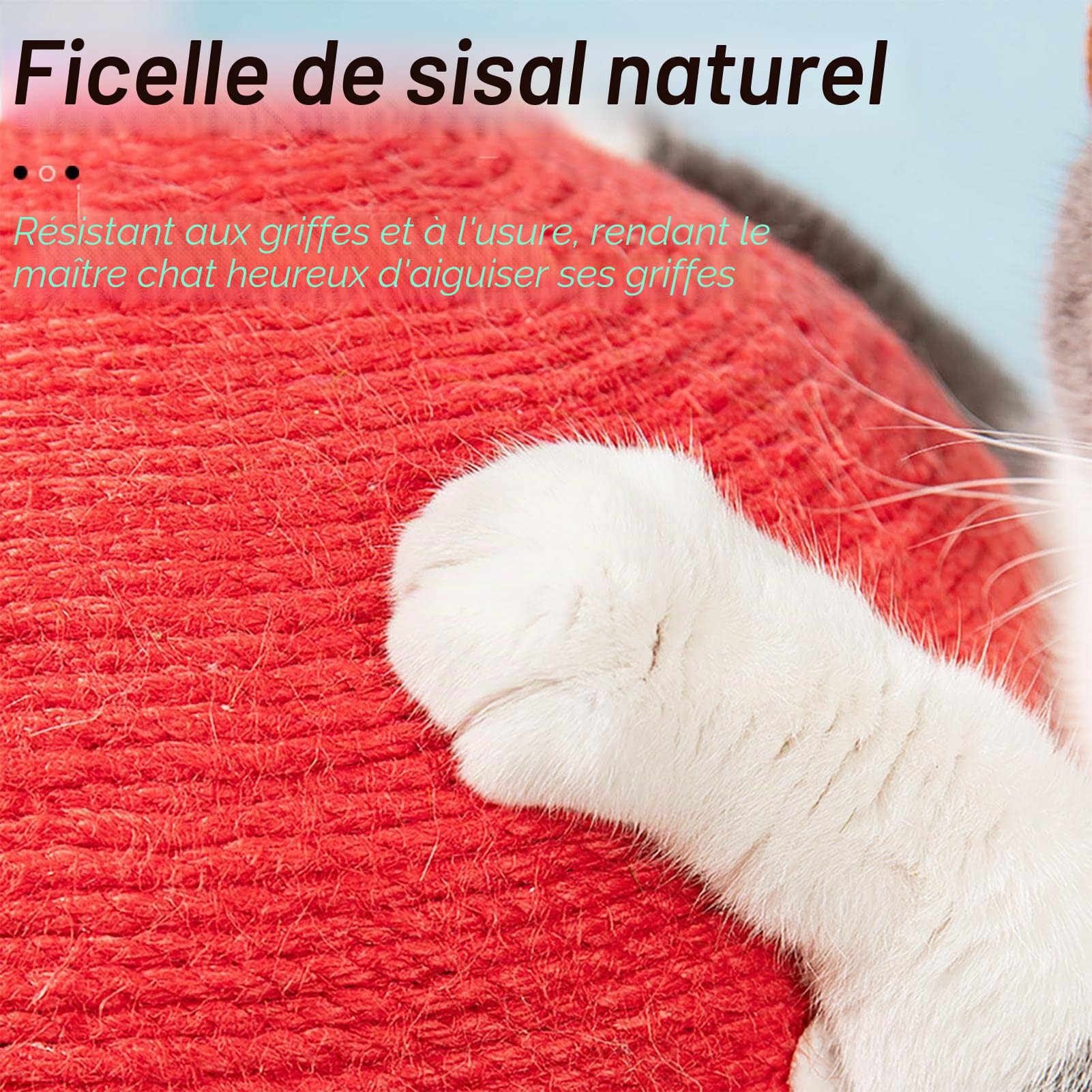 Grattoir à Champignons | Arbre à Chat en sisal avec Champignons - Arbre à Chat Cat Paw - Arbre à gratter pour intérieur - Protège Vos Meubles Contre Les Rayures
