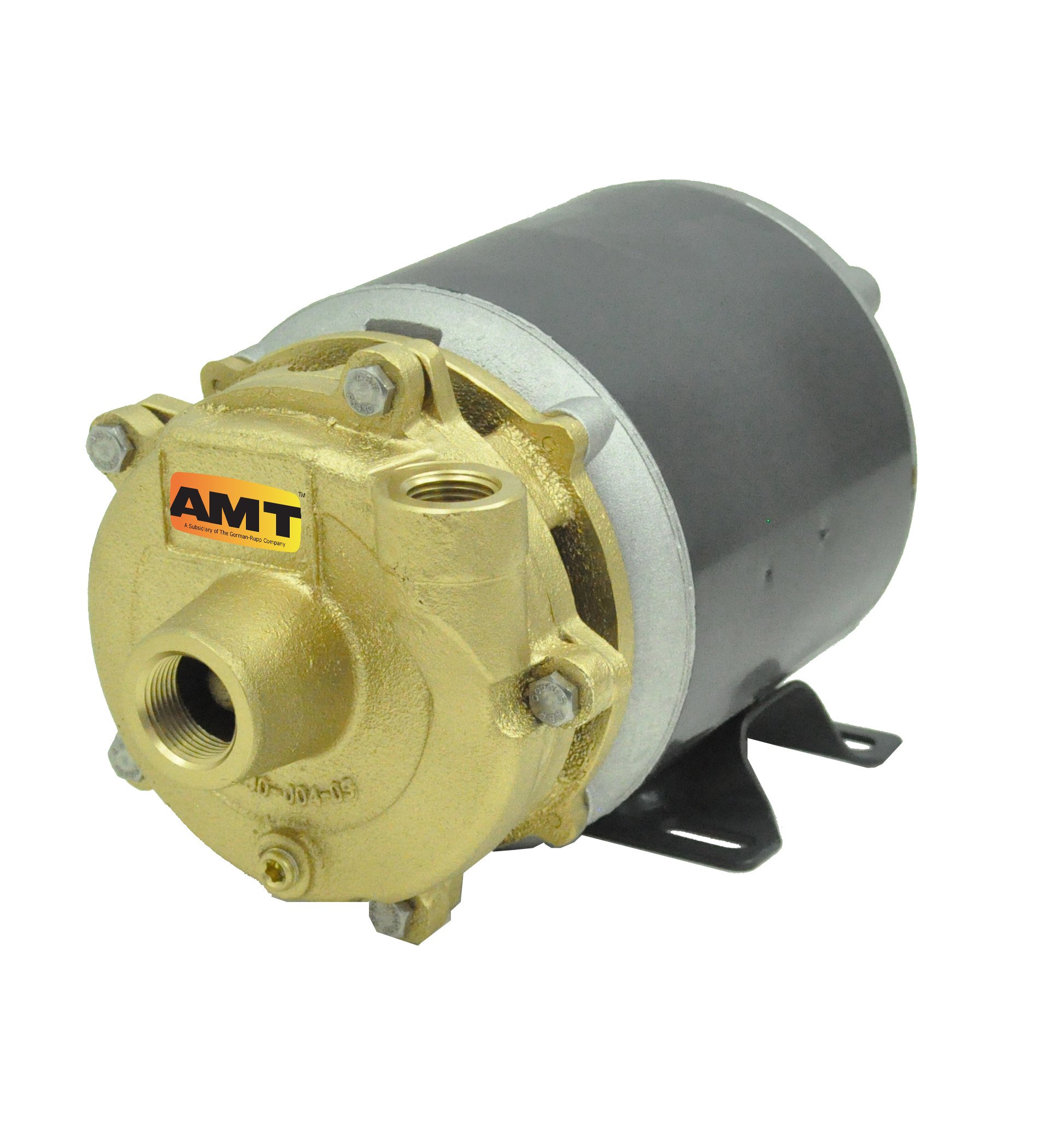 AMT Pump 3670-97 Marine Pump, Bronze, 1/4 HP, 1 Phase, 115V, Curve B, 3/4 NPT Female Suction & 1/2 NPT Discharge Ports by AMT Pumps