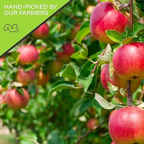 Miniatura 4 de Rodajas de anillos de manzana secos al sol, sin azúcar añadido (32 onzas - 2 libras) empaquetadas frescas en bolsa resellable, fruta dulce