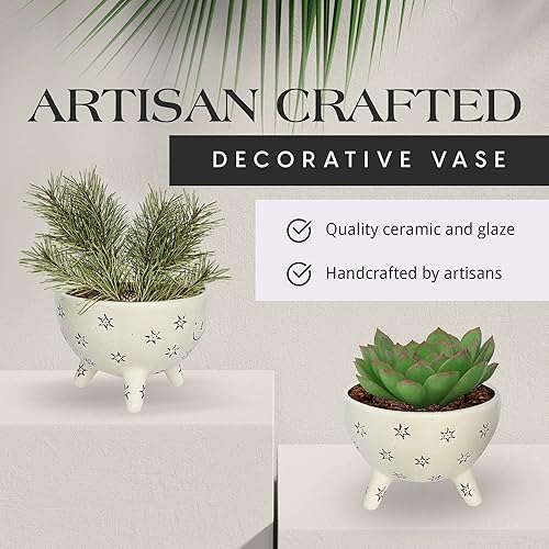 Miniatura 3 de SLS SUPPLY FLORA Facepot - Maceta de cerámica con cara sonriente, suculenta y maceta para el hogar y la oficina, bonito jarrón para jardinería