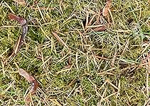 Review Image by MEM MEM