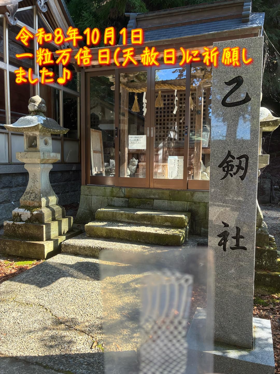 Amazon.co.jp: 笑い家謹製【ご祈願！ 天然物！】白蛇の抜け殻 日本三大