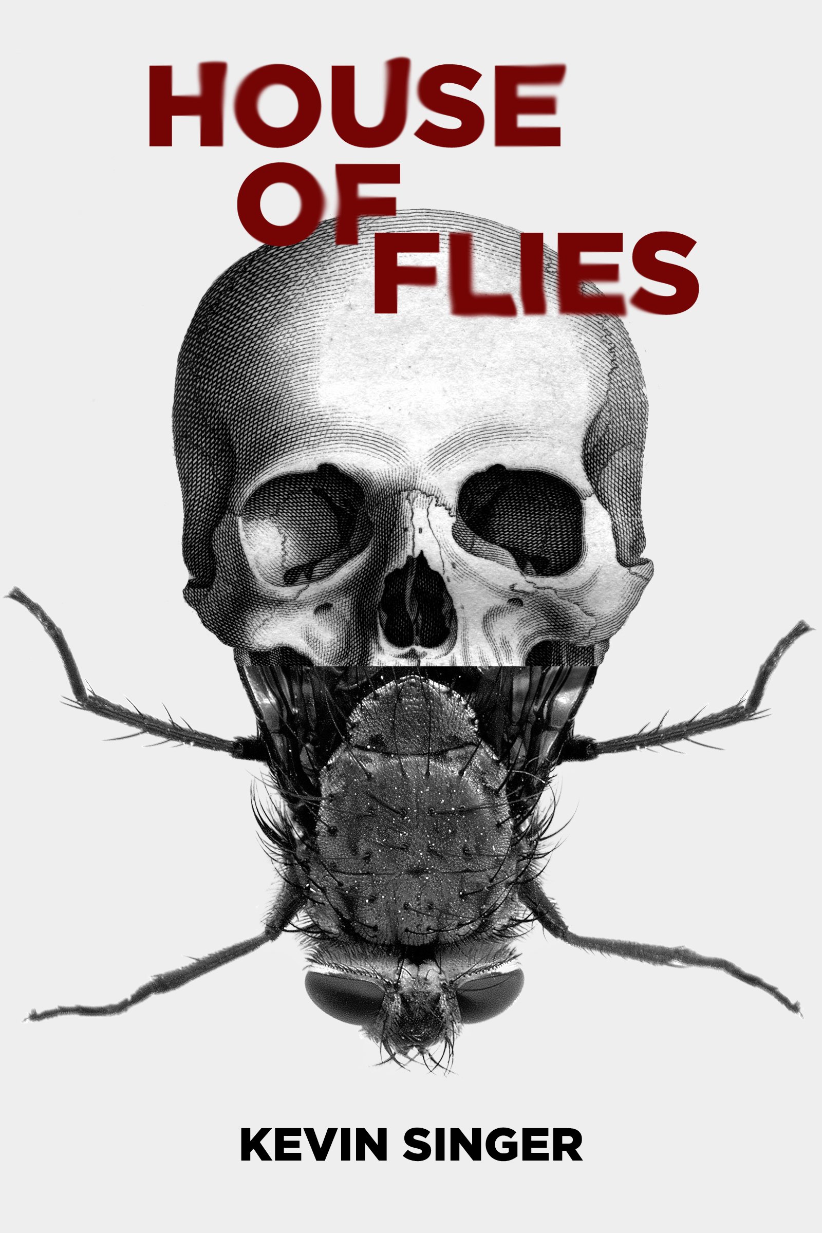 Cover of House of Flies
