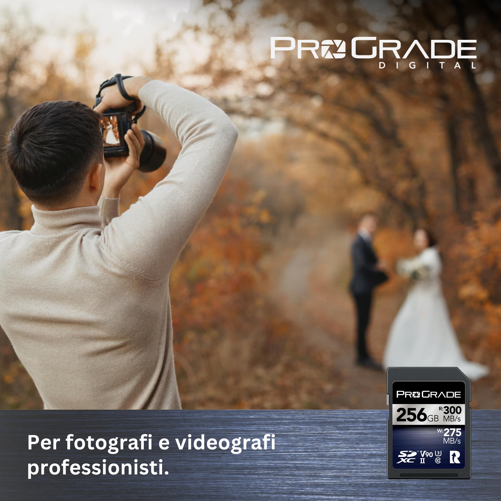 Scheda di Memoria ProGrade Digital SDCX UHS-II V90 Iridium (256GB)