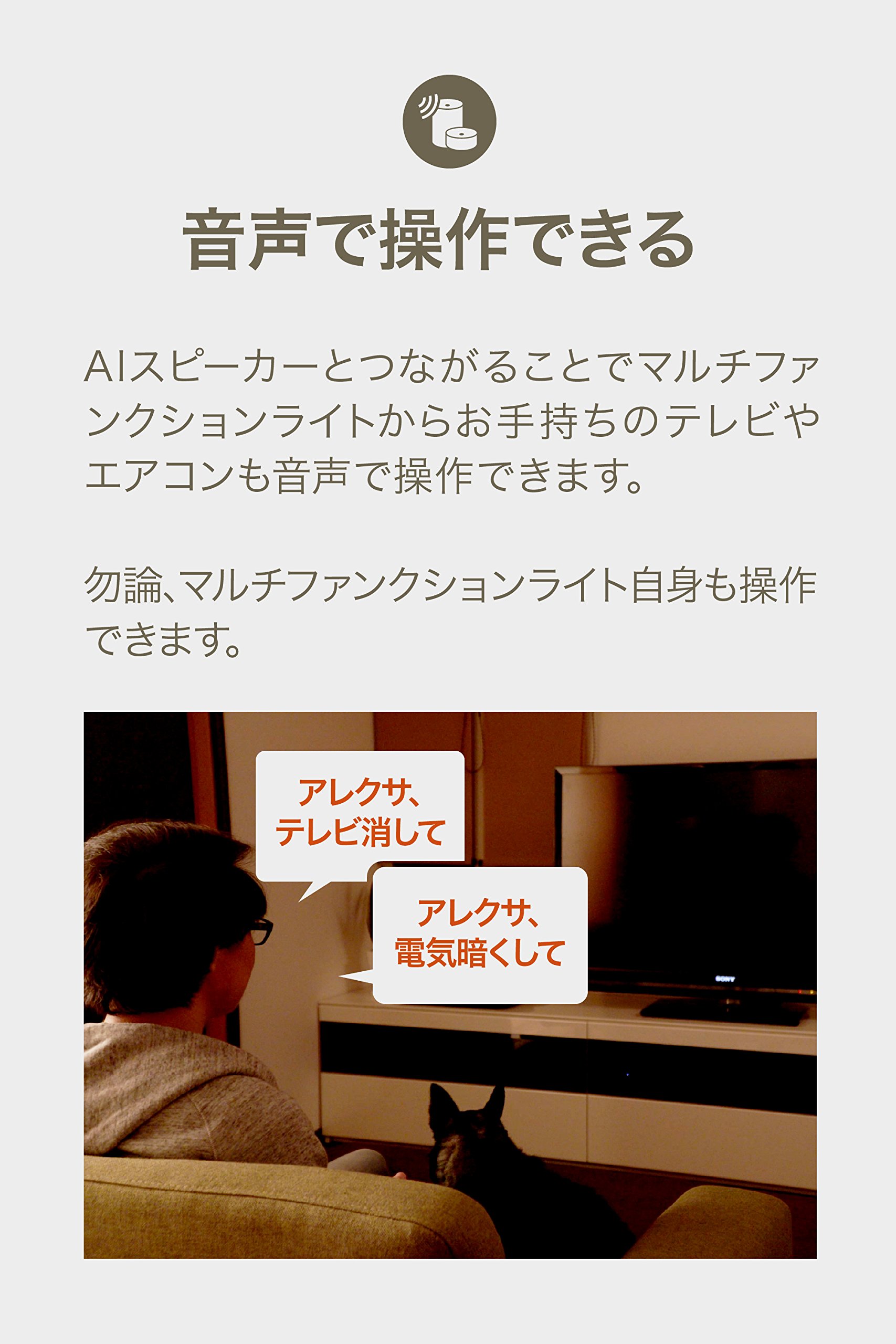 Amazon.co.jp: SONY スピーカー 搭載 Alexa 対応 シーリング ライト 用