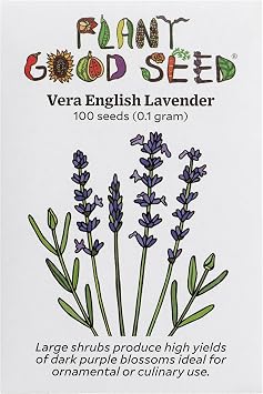 Vera English Lavender Flower Seeds for Planting 100 Count | True English Lavender, Classic Sweet Fragrance for Sachets and Crafts, Hardy Evergreen Perennial, Pollinator Favorite