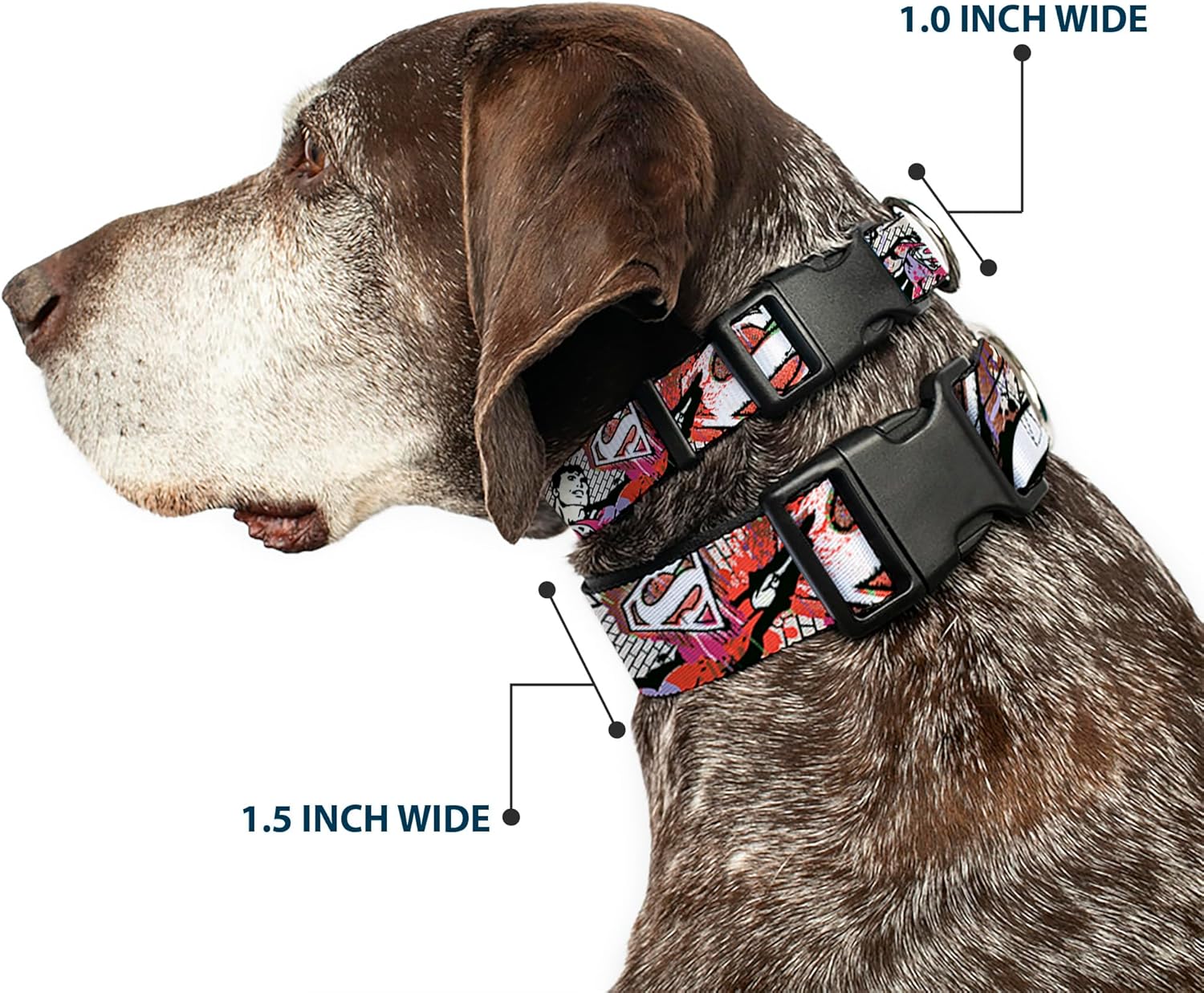 Buckle-Down Plastic Clip Collar - Superman Color Flying Bricks Scene - 1.5" Wide - Fits 18-32" Neck - Large