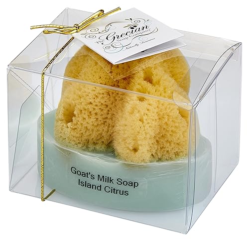 Miniatura 5 de Jabón de leche de cabra y aceite de oliva con esponja de mar natural, paquete de 2 unidades de aroma de coco y mango barra exfoliante de 6 onzas