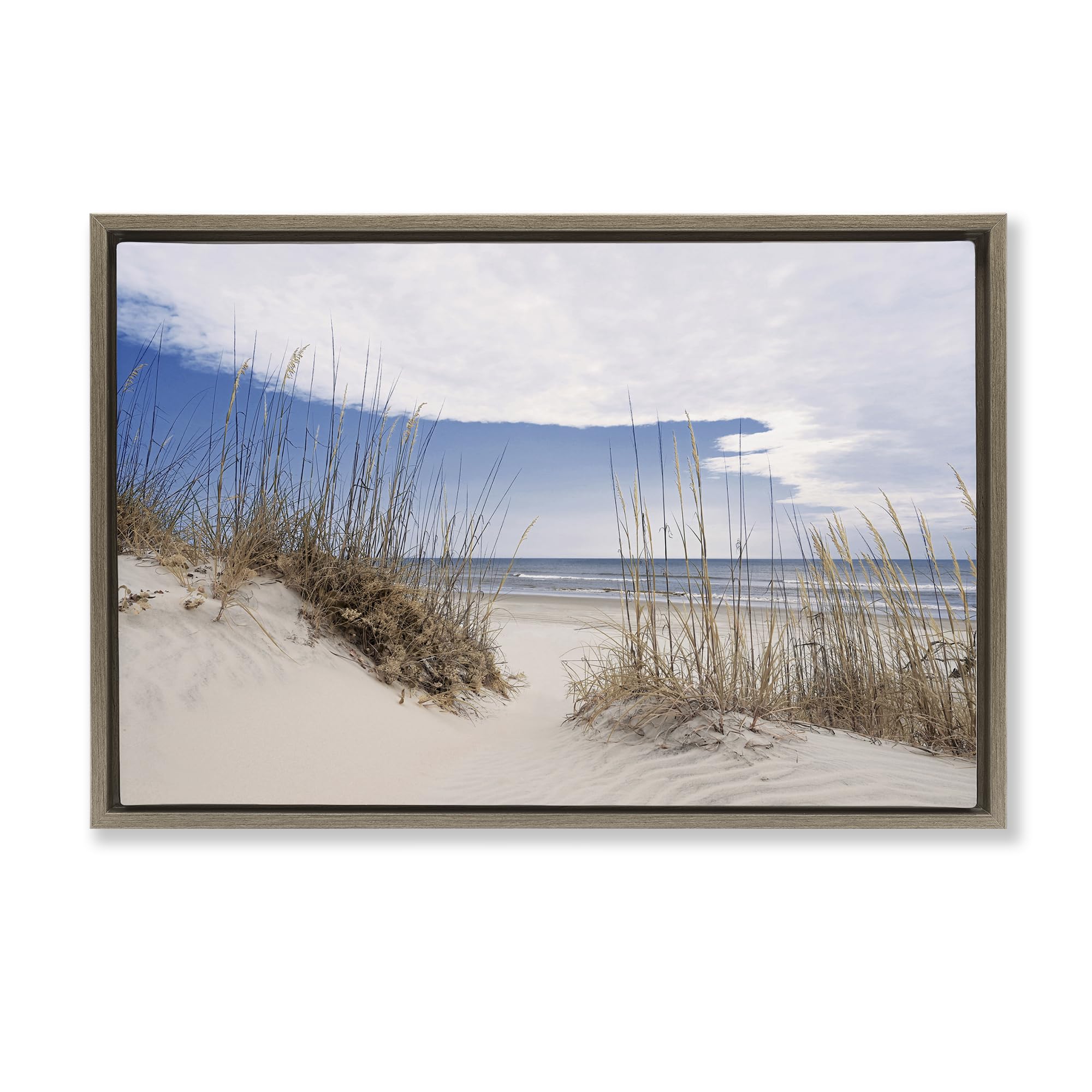Stupell Industries 'Sea Oats Along Sandy Dunes', Floating Frame Canvas Art, Brown, 25 x 17 Inches, Easy to Hang and Sturdy, Made in USA, by Natalie Carpentieri