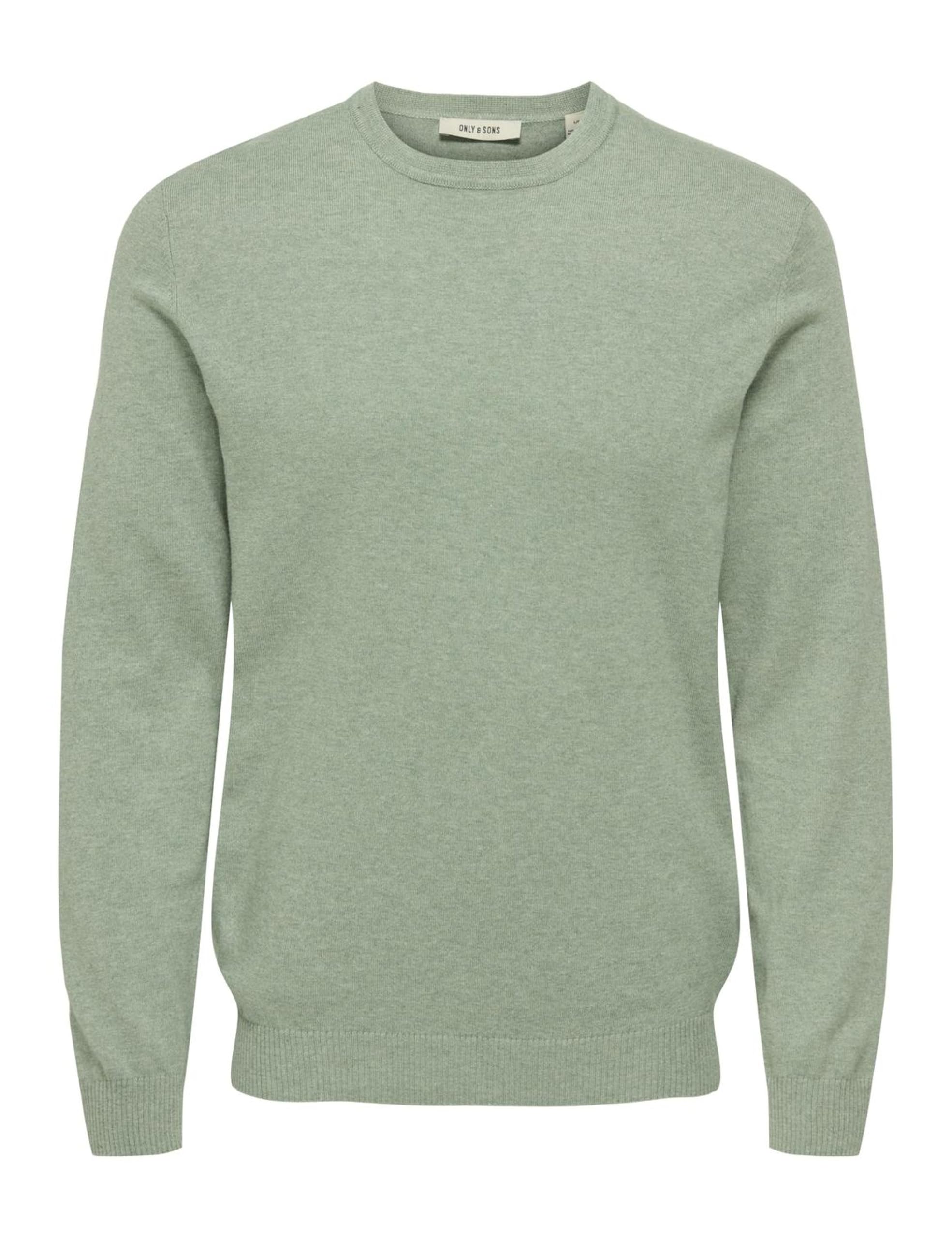 Only & Sons Male Strickpullover ONSLOUI Pullover