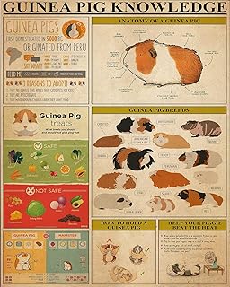 Bioprocess Guinea Pig Knowledge Guinea Pig Guinea Pig Guinea Pig Decor Poster Wall Art Decor Metal Sign Poster 8X12 Inches