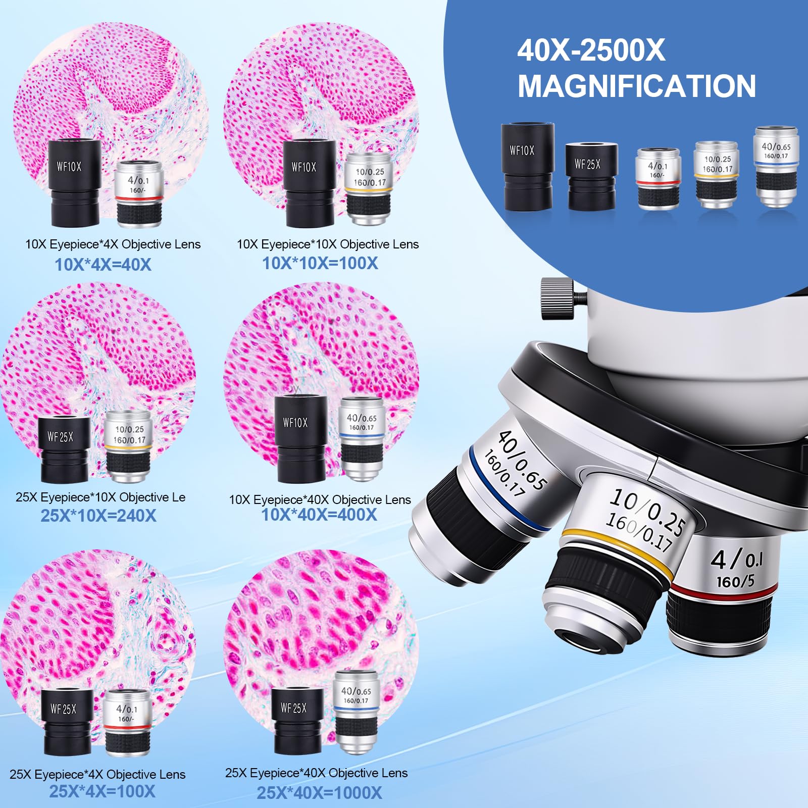 Microscopio para adultos y niños, microscopio de alta potencia 40X-2500X con pantalla de 5 pulgadas, para laboratorio escolar y escuela en casa, equipado con juego de diapositivas y soporte para