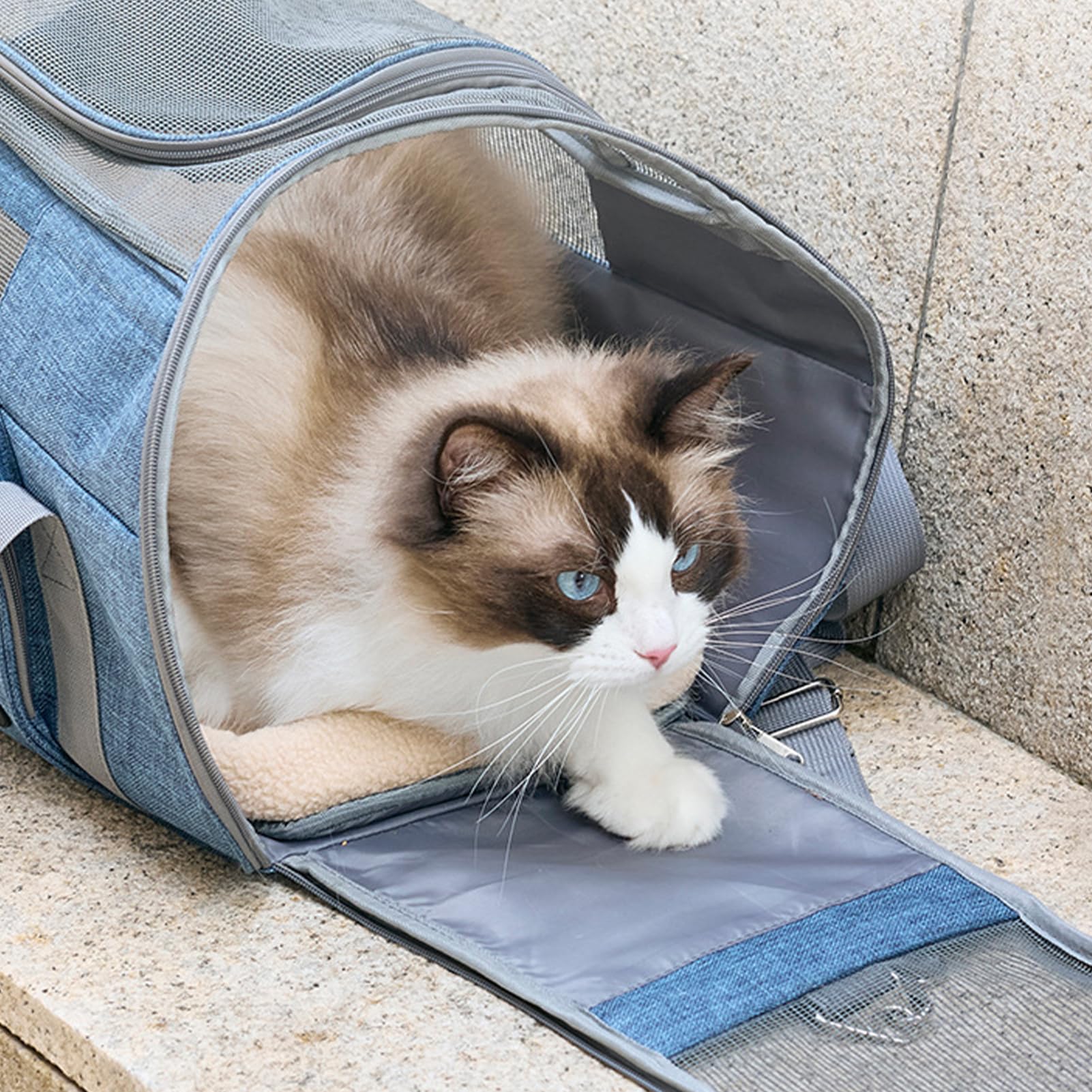 Torba lotnicza dla psów i psów, składana skrzynka transportowa dla kotów i psów, do 10 kg, torba do przenoszenia psa, do samochodu, skrzynka transportowa kota (magenta)
