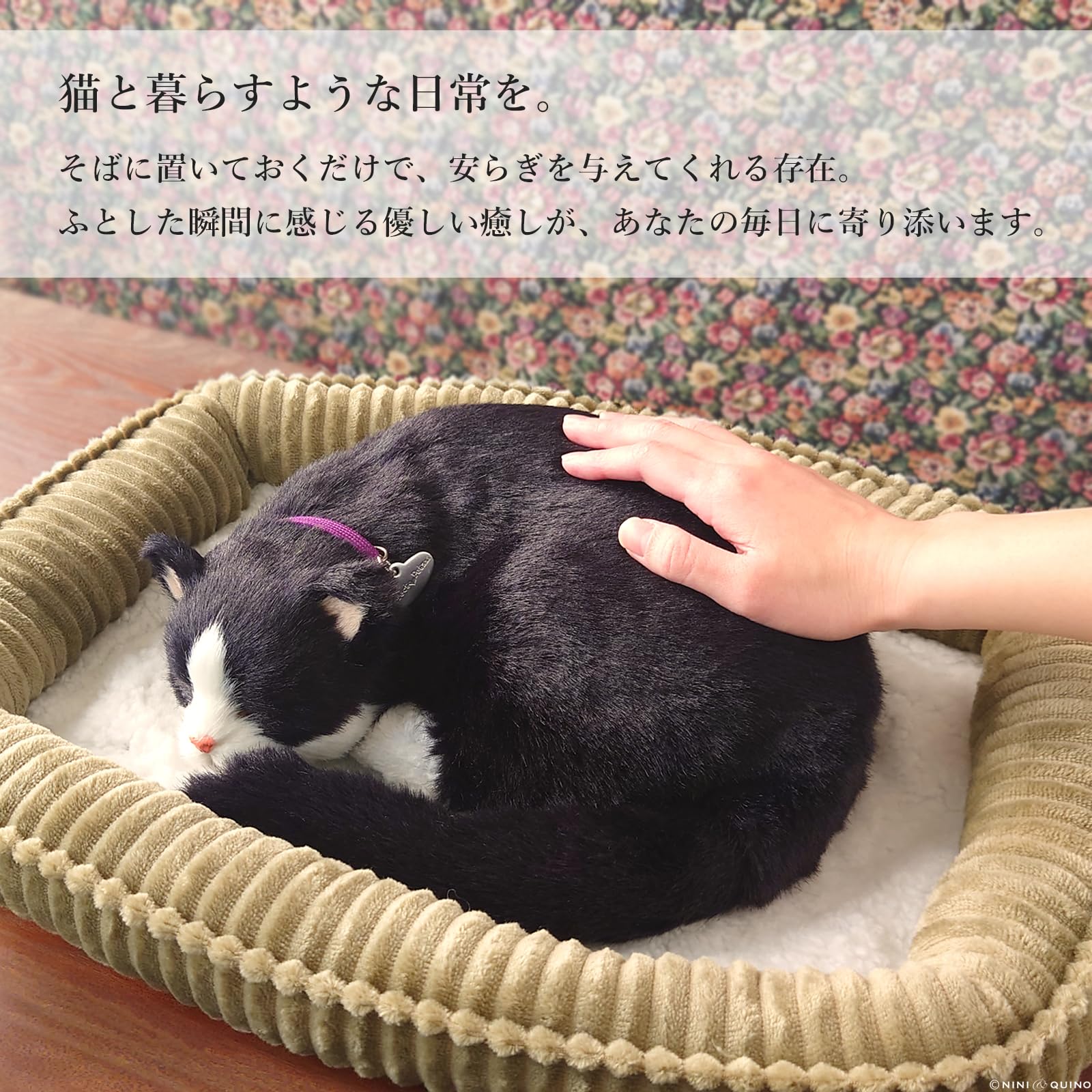 Amazon.co.jp: ニニアンドキノ パーフェクトペット (大サイズ