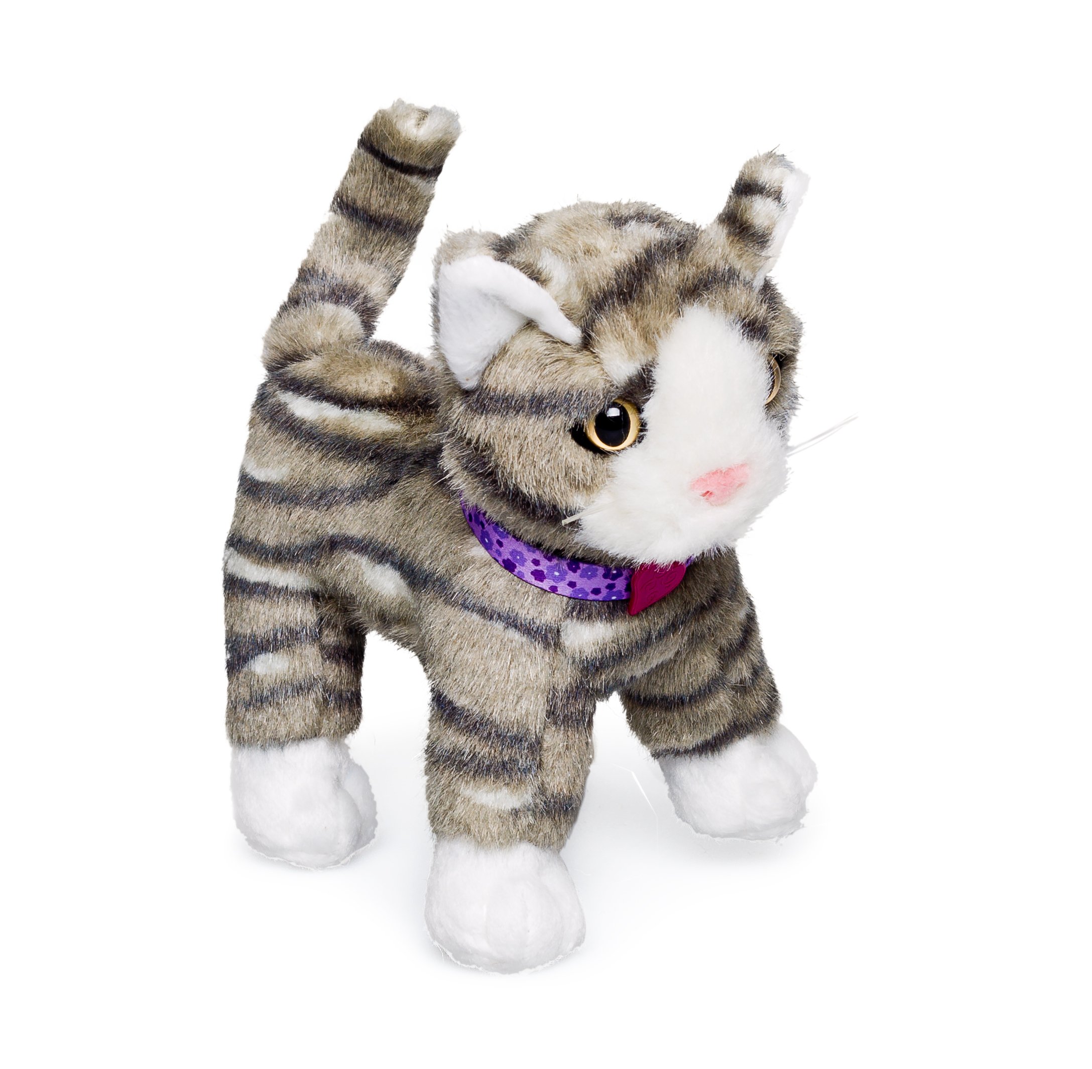 our generation doll cat