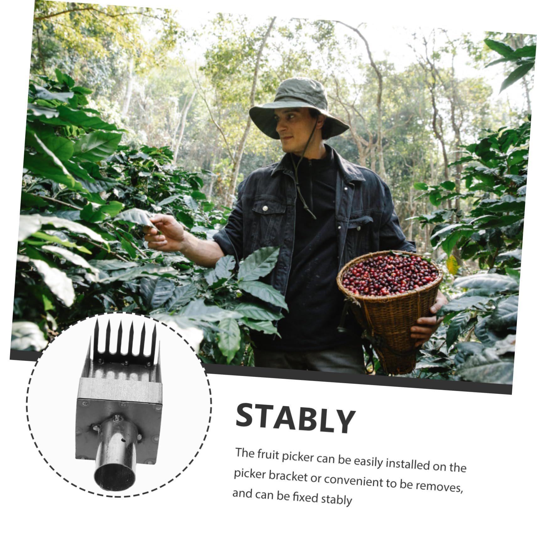 YARNOW 4 Pezzi Strumento Raccoglitrice Di Frutta Forniture Agricole Giardinaggio Raccolta Artigli Dispositivo Di Raccolta Per La Frutta Raccoglitrice Di Arance Raccoglitrice Di Arance