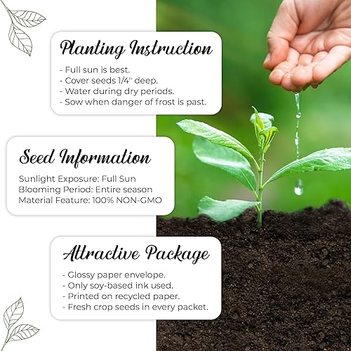 Miniatura 4 de Paquete de 20 paquetes de semillas de plantas prellenadas con texto en inglés "Thank You", hermosos jarrones de flores, recuerdos de fiesta para