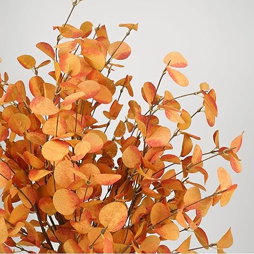 Miniatura 6 de Tallos de otoño, 6 piezas de hojas de otoño artificiales de eucalipto de 27.5 pulgadas, palillos florales de otoño, decoración de ramas de otoño