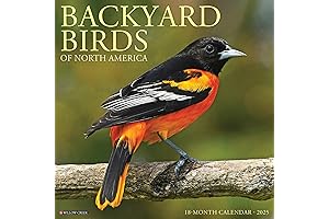 Backyard Birds Wall Calendar
