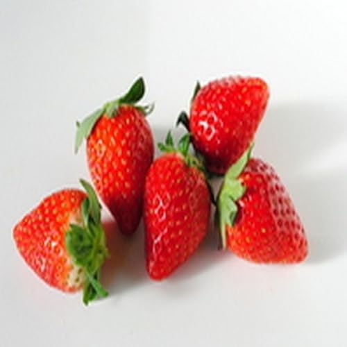 Pumpkin Kheer Recipe Kaddu Ki Kheer - //medicalbooks.filipinodoctors.org