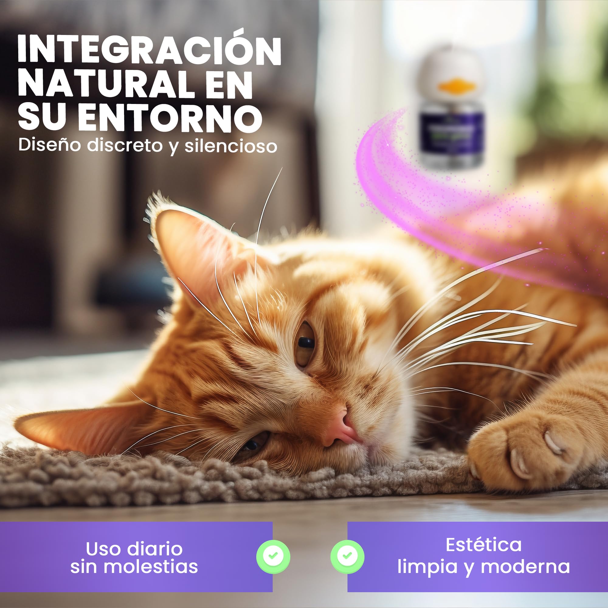 Feromonas para Gatos - Difusor + 2 Recambios (60 días, 48 ​​ml) - Ayuda a Crear Armonía y Reducir Conflictos Entre Gatos como el Estrés, Arañazos, Miedos, Cambios, Marcaje con Orina.