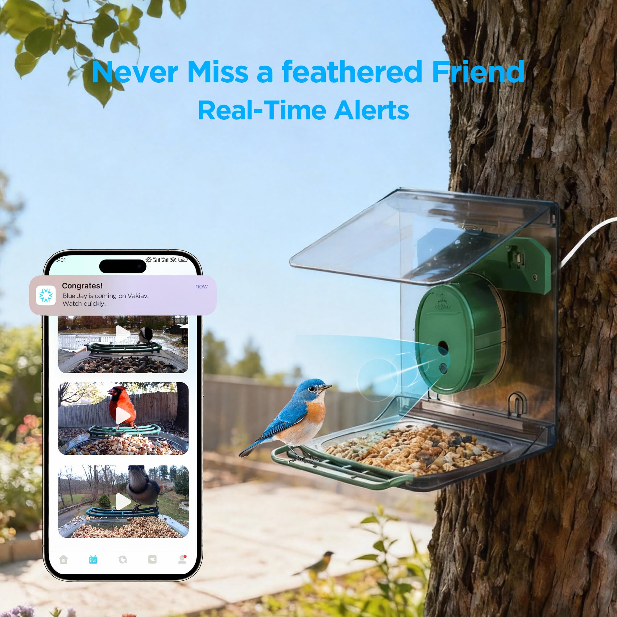 Comedero Inteligente para pájaros con cámara alimentada por energía Solar, transmisión en Vivo de Video HD 2K, identificación de Especies de pájaros, Enlace a través del transmisor de señal
