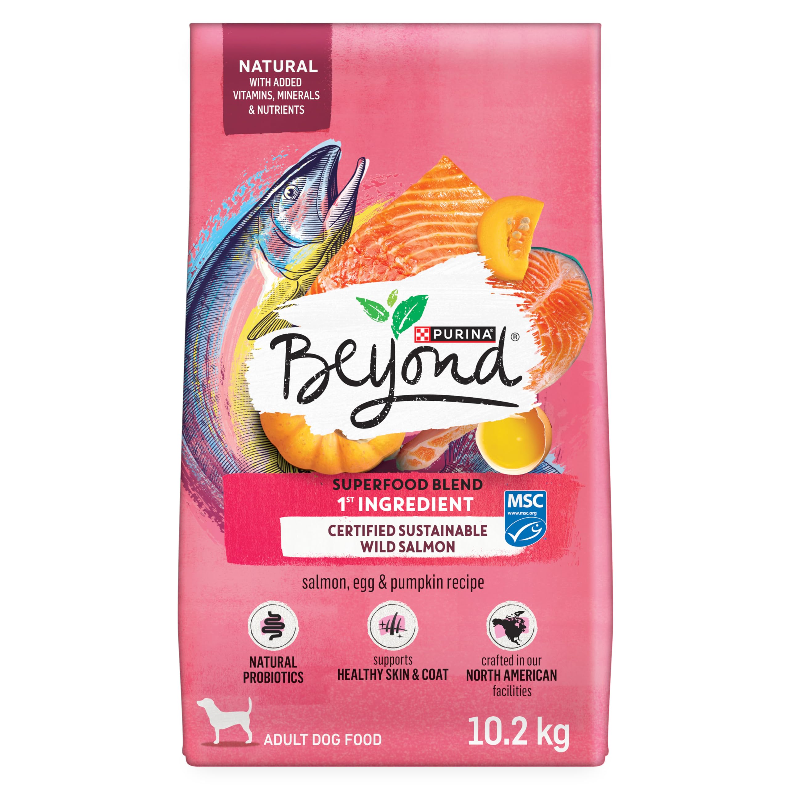 Beyond Superfood Blend Natural Dry Dog Food, Wild Caught Salmon, Egg & Pumpkin - 10.2 kg Bag image 7