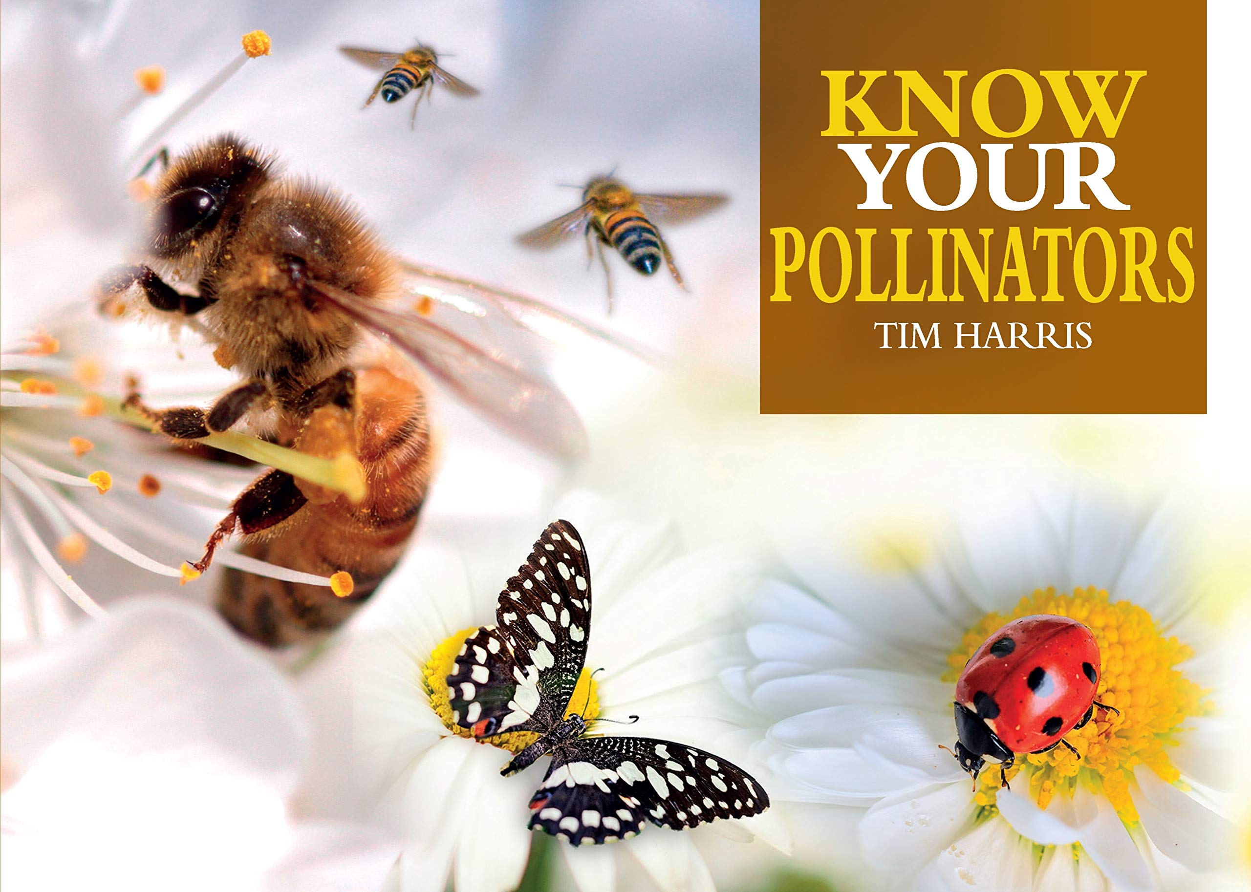Know Your Pollinators (Old Pond Books) 40 Common Pollinating Insects including Bees, Wasps, Flower Flies, Butterflies, Moths, & Beetles, with Appearance, Behavior, & How to Attract Them to Your Garden
