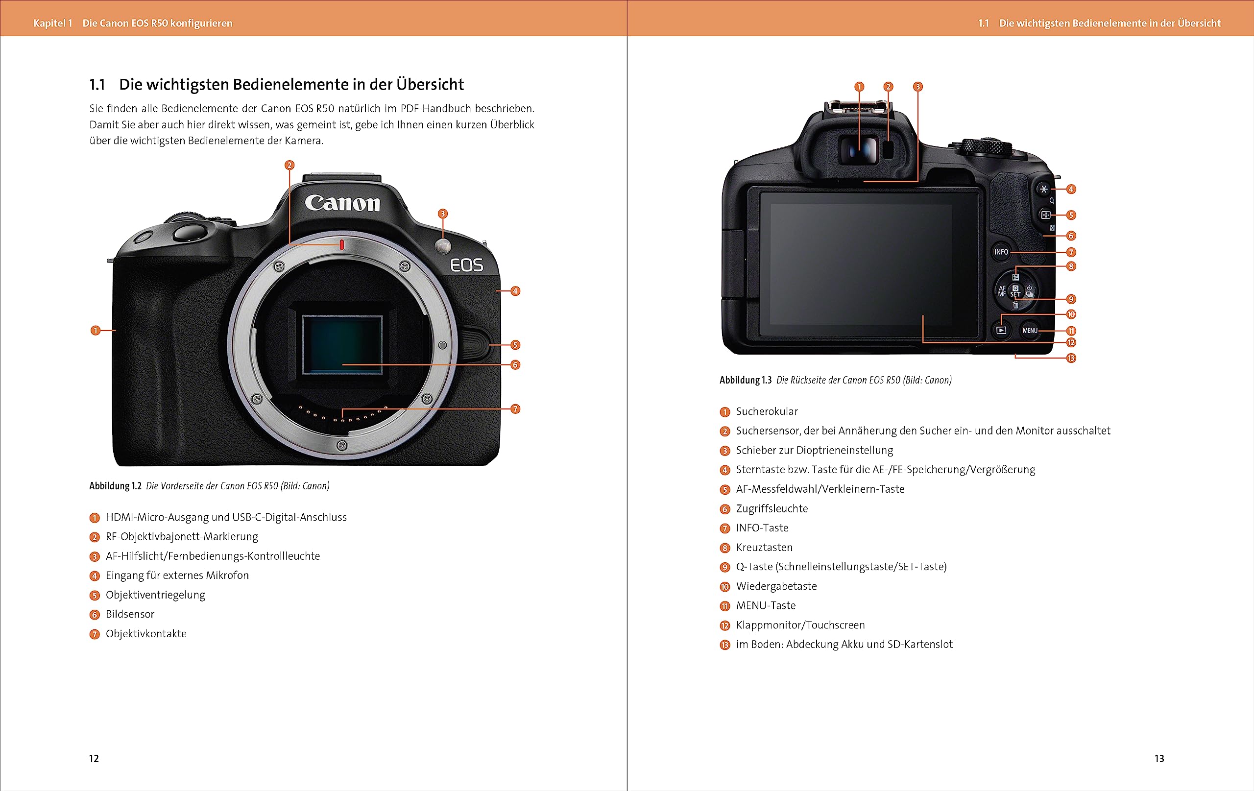 Canon EOS R50: Kreativ fotografieren und filmen mit der System-Kamera