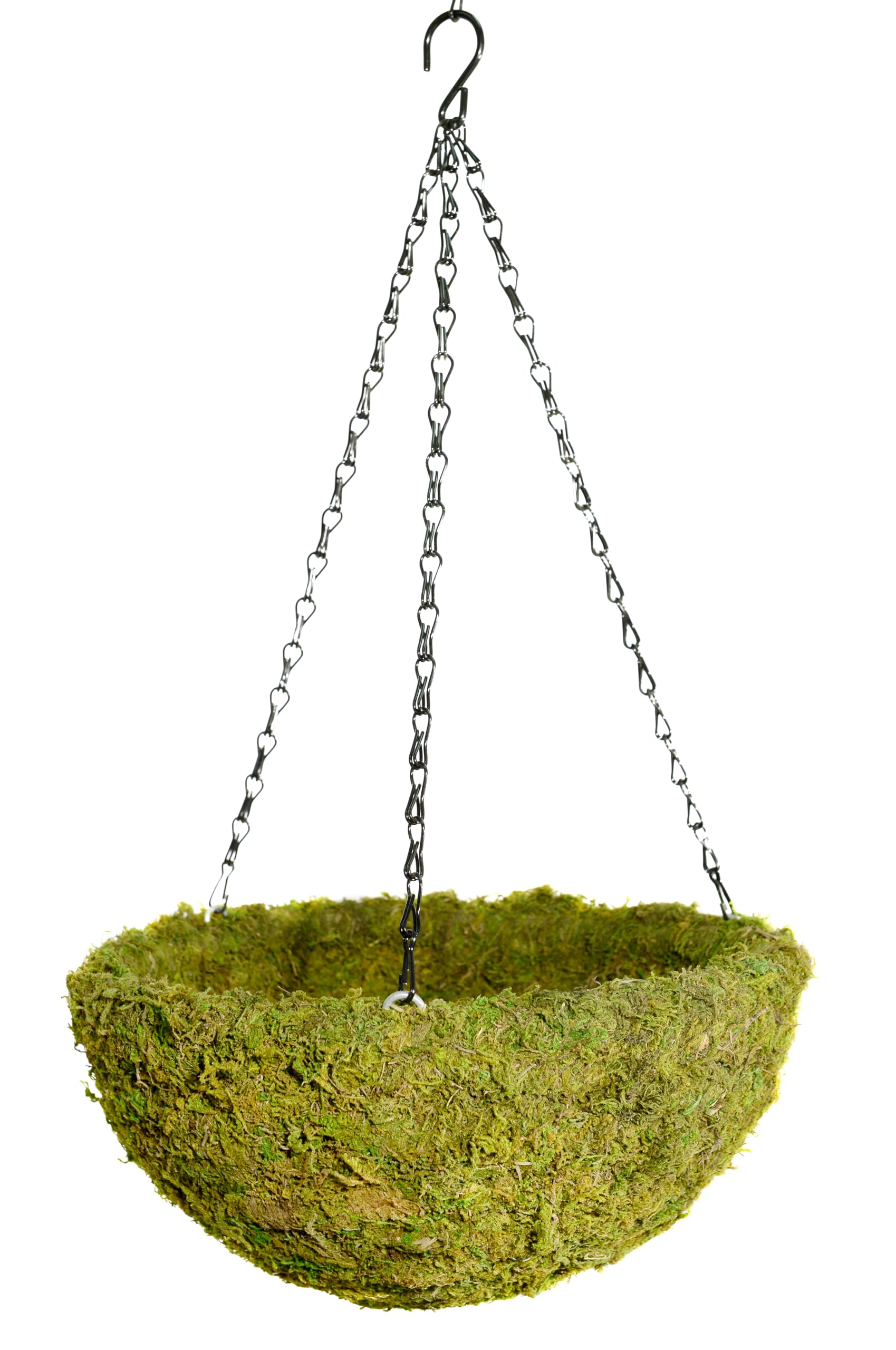 クロ MOSS CIRCUS 20-21 153cm 22