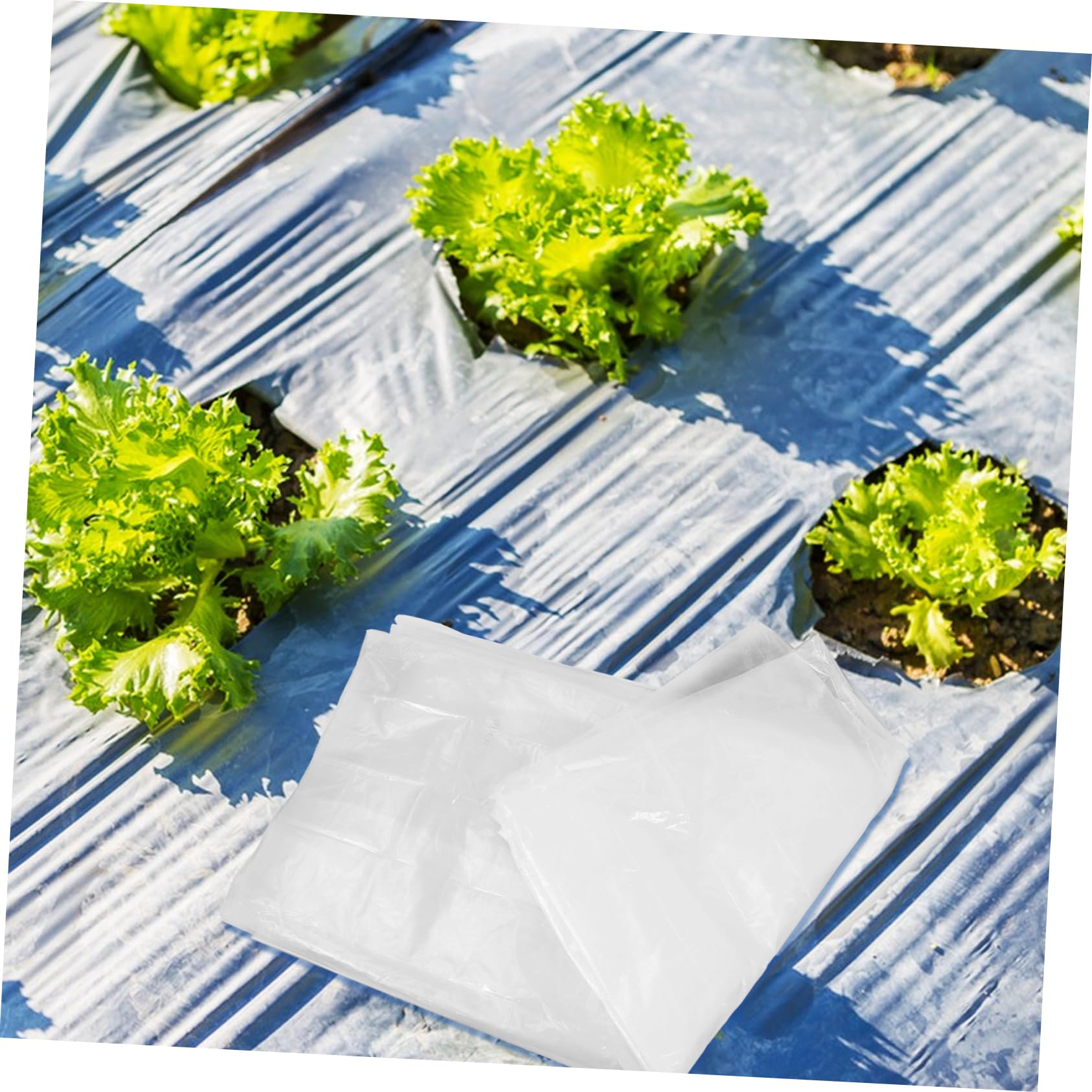 TOYANDONA Pellicola Antighiaccio per Piante da Giardino in PE | Copertura per Mini Teli e Tunnel, Adatta anche Finestre, Film Bianco per Protezione dal Gelo