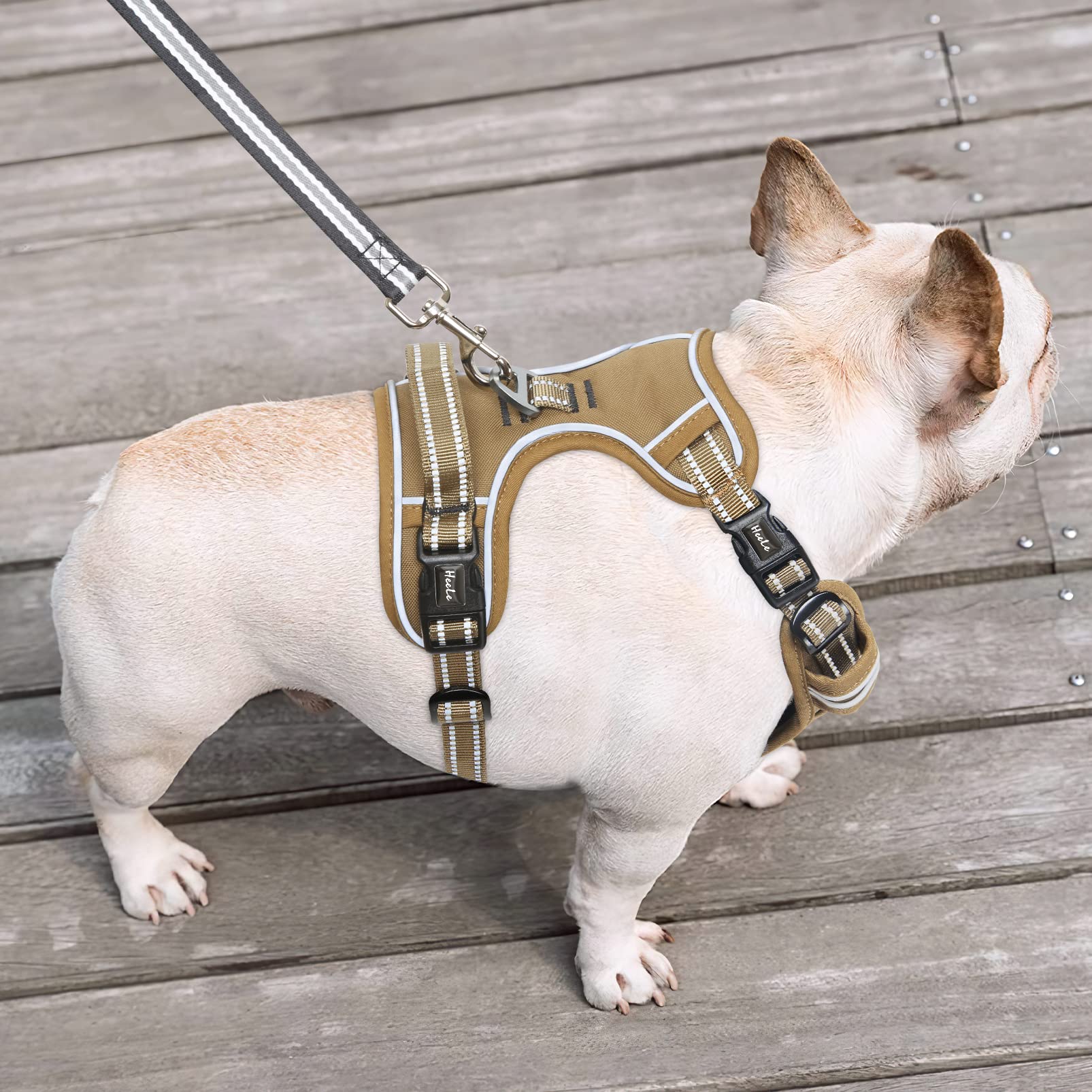 HEELE Pettorina Cane, Imbracatura Sganciata Rapido dal Collo, Pettorina Anti-tiro Riflettente e Regolabile con Maniglia Comoda, Morbida e Imbottita per Cani Piccola Media Grande, Marrone M