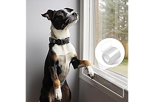 Clear Sill Protector: Ultimate Defense for Your Home Against Pet Scratching and Damage