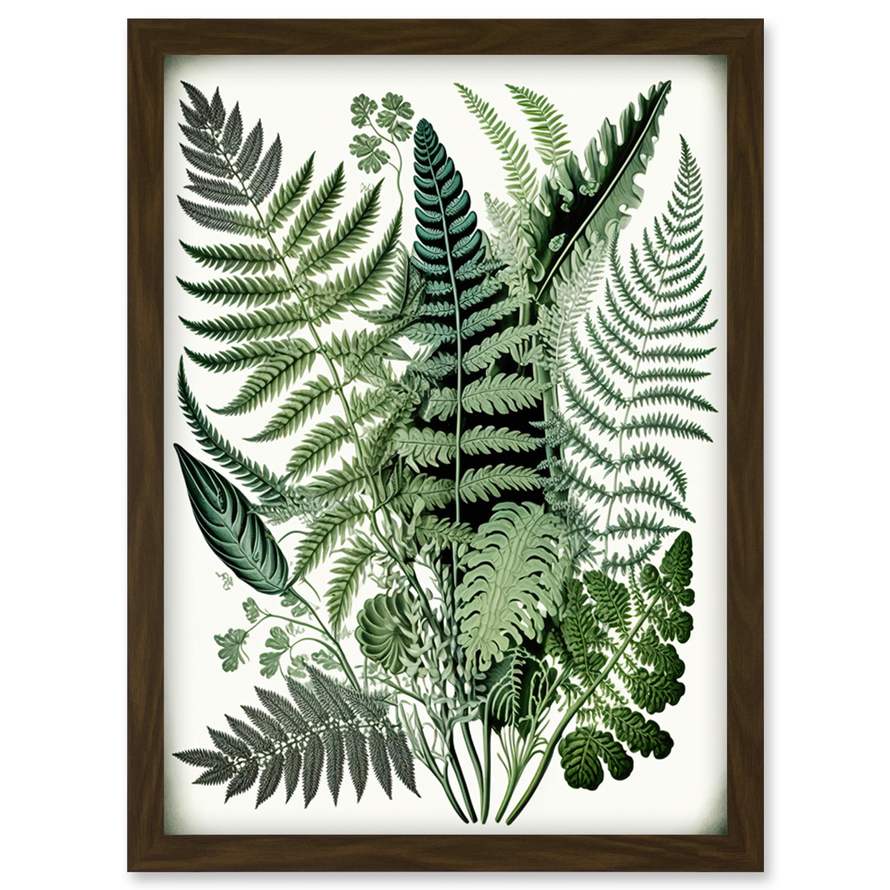 Artery8 Haeckel Style Fern Fronds Watercolour Illustration Artwork Framed Wall Art Print A4