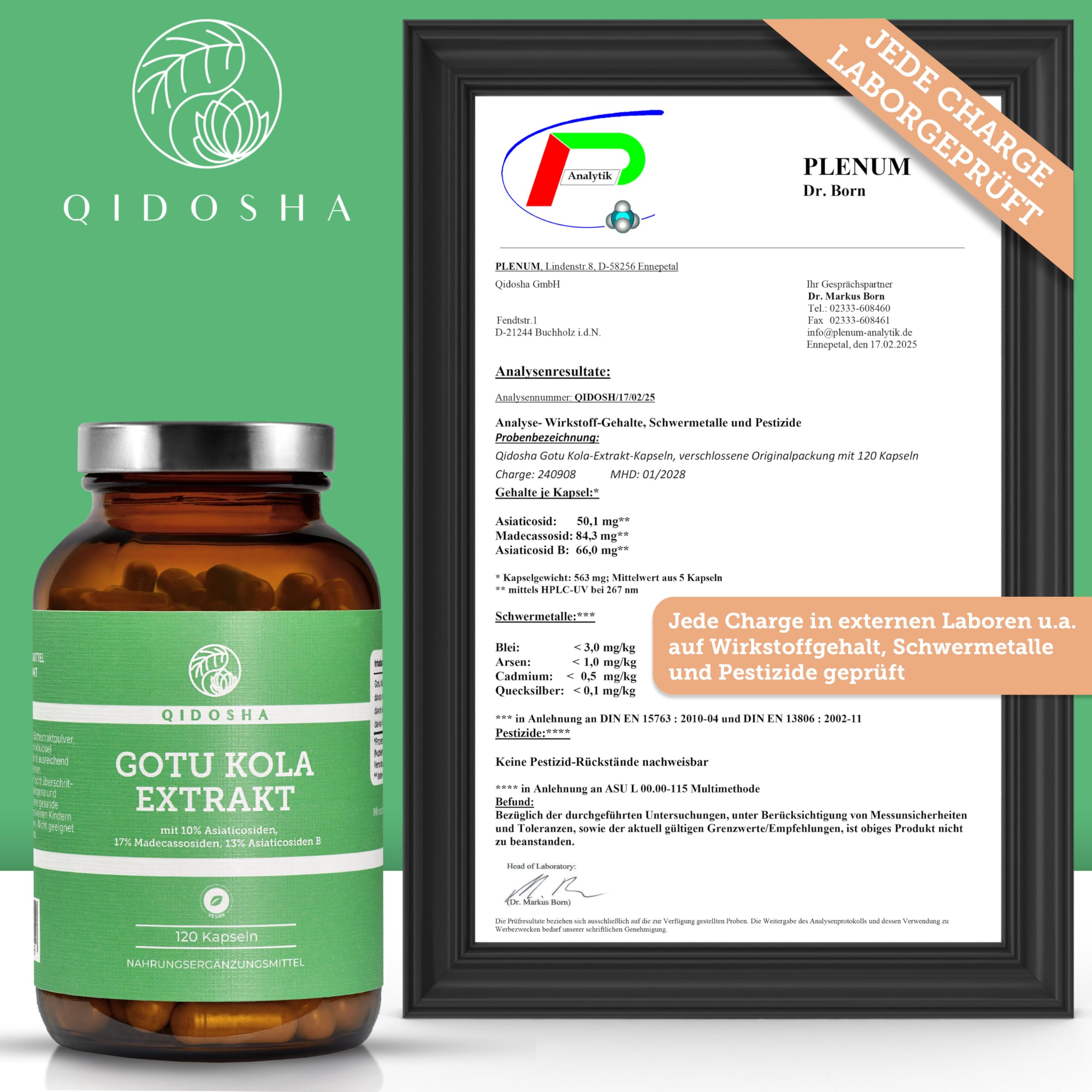 QIDOSHA® Gotu Kola 60:1 Extrakt, mit 40% Gesamt-Asiaticoside höchster Wirkstoffgehalt am Markt, darunter 10% Asiaticoside, 17% Madecassoside und 13% Asiaticoside B, 120 Kapseln im Glas
