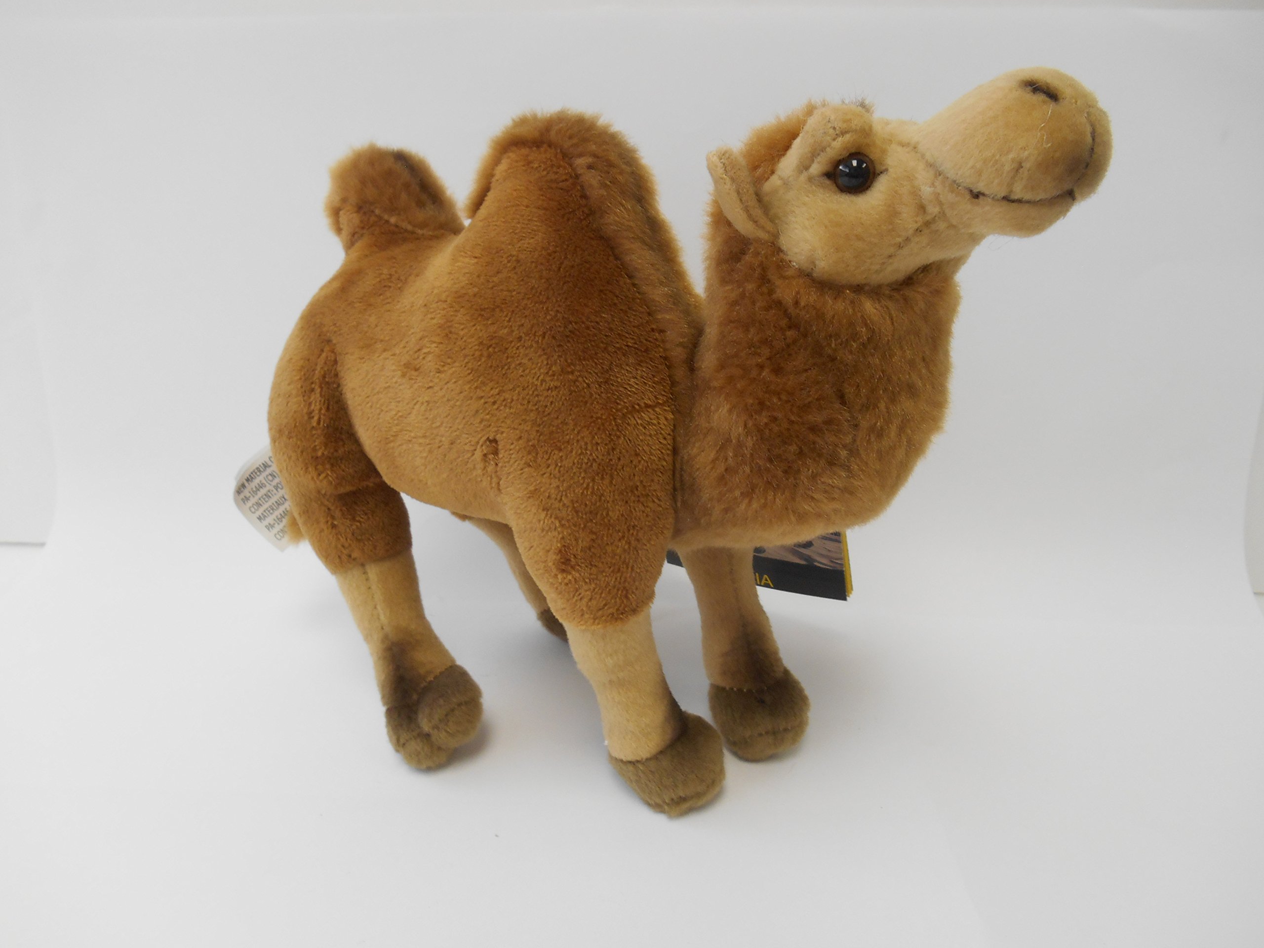 Amazon.co.jp: ナショナルジオグラフィック ぬいぐるみ