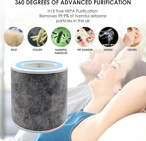 Miniatura 3 de Flintar Filtro de repuesto HEPA verdadero, compatible con los modelos de purificador de aire Shark HP100, HP102 y 3 en 1 HC450, HC451, HC452, se