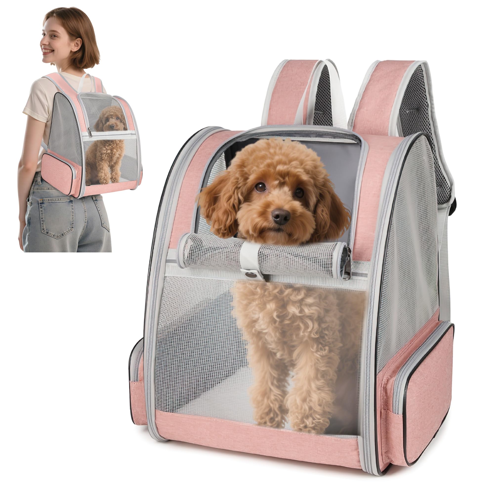 ALLSOPETS Zaino Trasportino per Cani Gatti Zaino per Cani Traspirante Zaino Pieghevole per Gatti e Cuccioli con Cinghie di Sicurezza Ideale per Viaggi Escursioni e All'aperto (Rosa Nebbia)