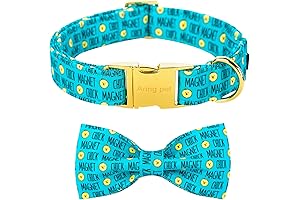 ARING PET Easter Dog Collar-Adorable Chick Dog Collar with Bow