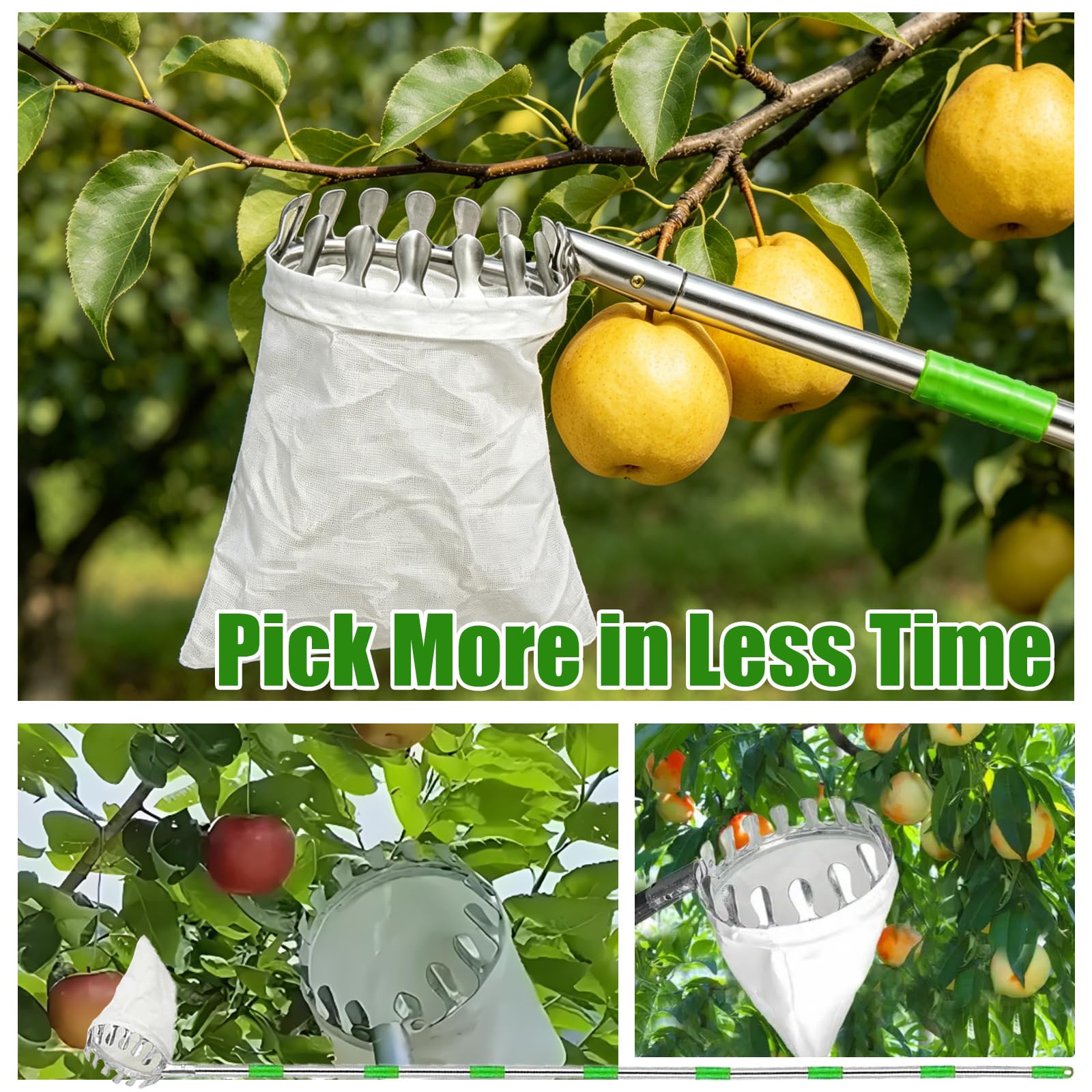 Raccoglifrutta Telescopico 3.2 m Diametro 16 cm, Raccogli Frutta con Palo in Acciaio Inox e Sacchetto Cotone, Raccogli Mele Ciliegie Agrumi Pere Pesche, Raccoglitore Frutta Regolabile