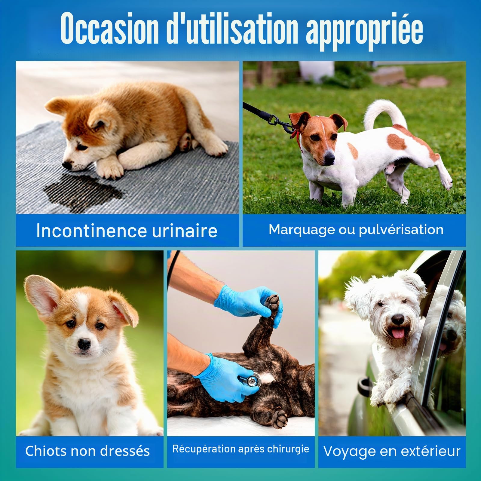 Pet Soft Couche Chien Male, Lot de 20 Couche Petit Chien, Ultra-Absorbantes Couches pour Chiens Incontinent avec Indicateur D'humidité et Anti-Fuite (S-20 Unité)